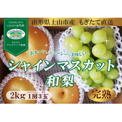 【直送便】完熟シャインマスカットと和梨セット(小)　0148-2620