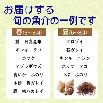 北海道産 旬の魚介 5種以上 豪華 お楽しみ詰め合わせ セット