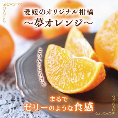 【紅まどんな と同品種】【特選品】みかん職人の夢オレンジ 5kg 夢おれんじ みかん職人武田屋