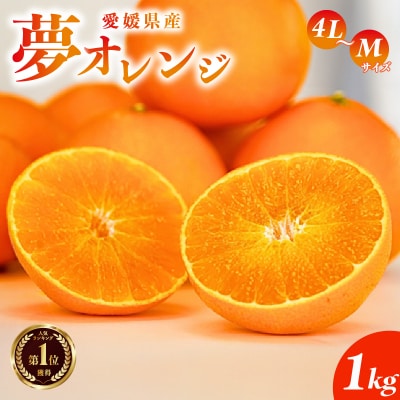 紅まどんな と同品種【訳あり】みかん職人の夢オレンジ1kg 夢おれんじ みかん職人武田屋
