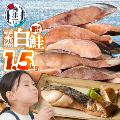 訳あり!天然 白鮭 甘口 切身 約1.5kg バラ凍結 大袋ジッパー(a10-1177)