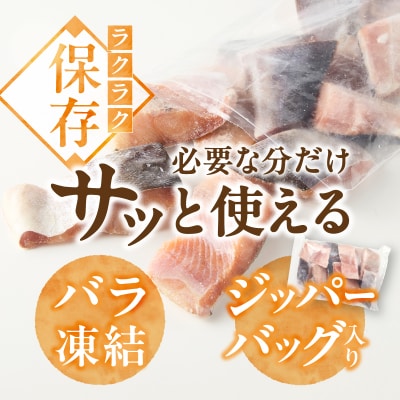 訳あり!天然 白鮭 甘口 切身 約1.5kg バラ凍結 大袋ジッパー(a10-1177)