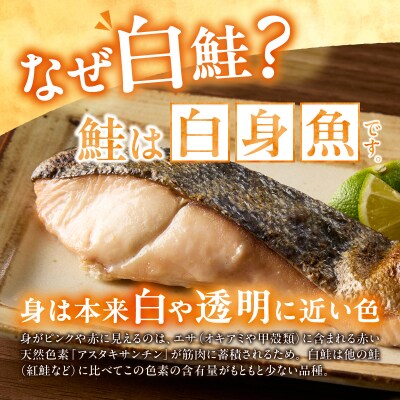 訳あり! 天然 白鮭 甘口 切身 約2kg 便利なジッパーバック入り(a15-714)