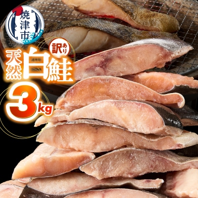 訳あり! 天然 白鮭 甘口 切身 約3kg 便利なジッパーバック入り(a20-488)