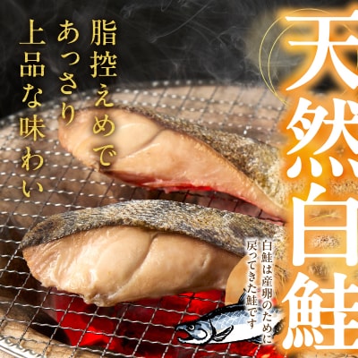 訳あり! 天然 白鮭 甘口 切身 約3kg 便利なジッパーバック入り(a20-488)