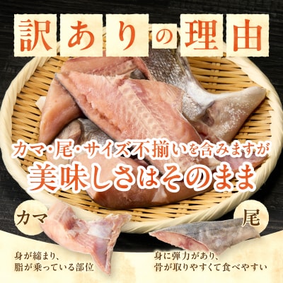 訳あり! 天然 白鮭 甘口 切身 約3kg 便利なジッパーバック入り(a20-488)
