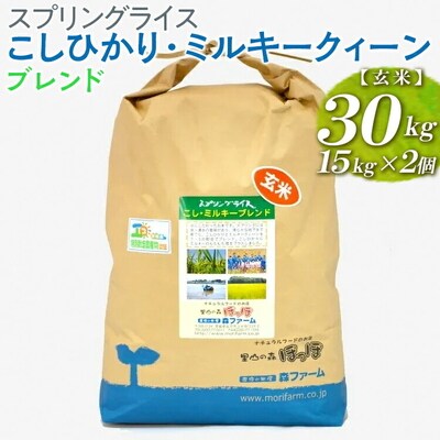スプリングライス こしひかり・ミルキークィーン ブレンド (玄米)30kg _BI71