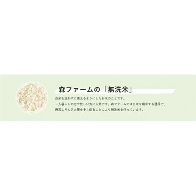 スプリングライス ミルキークィーン (無洗米)2kg | 米 こめ コメ 2キロ _BI35