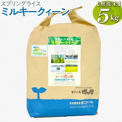 スプリングライス ミルキークィーン (無洗米) 5kg | 米 こめ コメ 5キロ _BI36