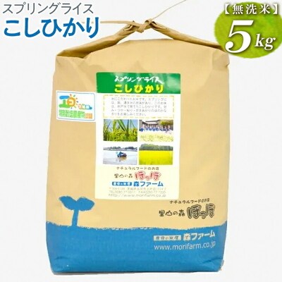 スプリングライス こしひかり (無洗米)5kg | 米 こめ コメ 5キロ 無洗米 _BI39