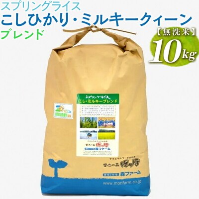 スプリングライス こしひかり・ミルキークィーン ブレンド (無洗米)10kg | 米 _BI42