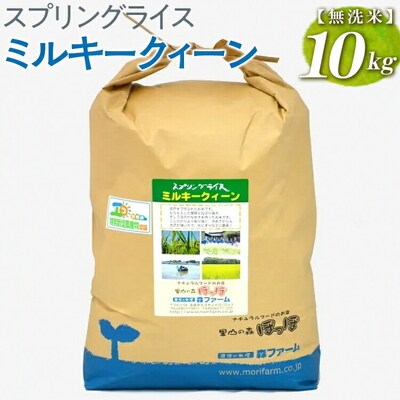 スプリングライス ミルキークィーン (無洗米)10kg | 米 こめ コメ 10キロ _BI37