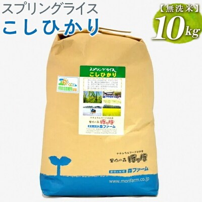 スプリングライス こしひかり (無洗米)10kg | 米 こめ コメ 10キロ 無洗米 _BI40