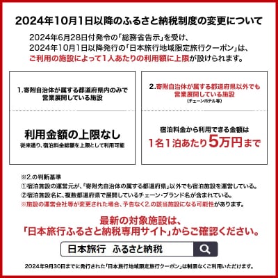 鹿児島県鹿児島市 日本旅行 地域限定旅行クーポン 150,000円分　K304-005