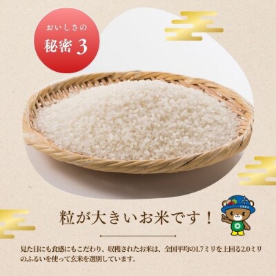 令和8年産 新米先行受付 北海道とままえ産 ななつぼし 5kg 米 お米 北海道産 rum19