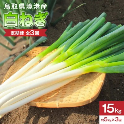 <定期便・全3回><先行予約受付中!11月上旬～3月下旬発送予定>白ねぎ(約5kg×3回・計15kg