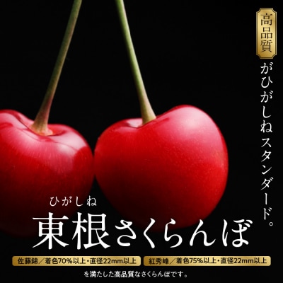 【2027年産】GI東根さくらんぼ「紅秀峰」800g バラ詰め hi001-040-r9