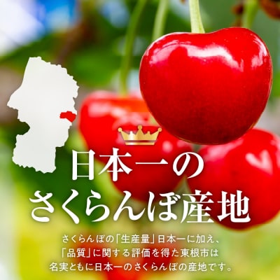 【2027年産】GI東根さくらんぼ「紅秀峰」800g バラ詰め hi001-040-r9