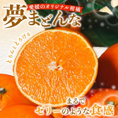 先行受付【紅まどんなと同品種】特選 夢まどんな5kg みかん 愛南町 みかん職人武田屋
