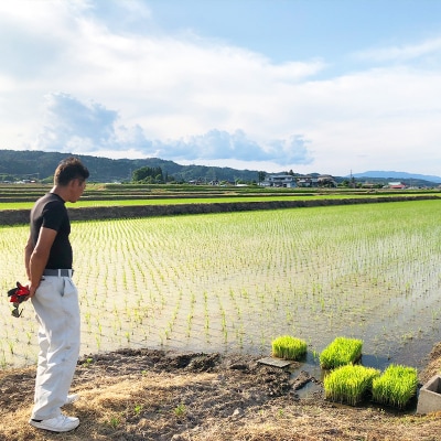 令和7年度産 山形産 「つや姫」10kg (精米) 特別栽培米 ワーコム栽培 FY26-269