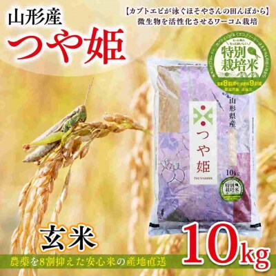 令和7年度産 山形産 「つや姫」10kg (玄米) 特別栽培米ワーコム栽培 FY26-270