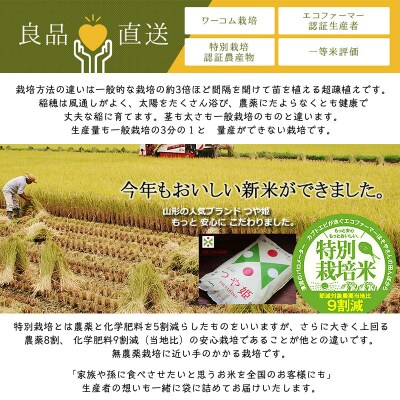 令和7年度産 山形産 「つや姫」10kg (玄米) 特別栽培米ワーコム栽培 FY26-270
