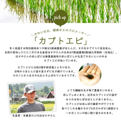 令和7年度産 山形産 「つや姫」10kg (玄米) 特別栽培米ワーコム栽培 FY26-270