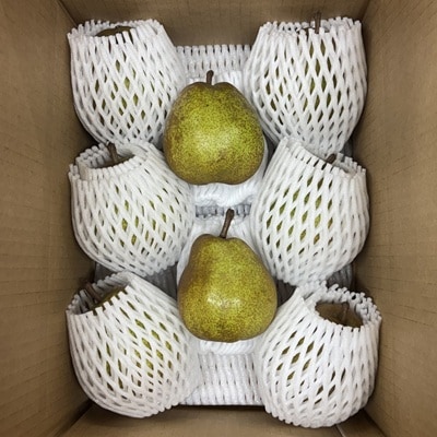 訳あり(ご家庭用) 西洋梨 ラフランス 3kg 0041-2608