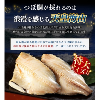  釧之助 極旨つぼだい半身 100g×5パック マルサ笹谷商店【14営業日以内に発送】