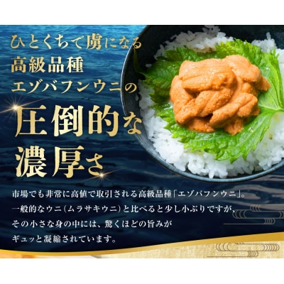 【特選】塩水ウニ80g(エゾバフンウニ) 【6月中旬(予定)～9月発送不可】うに 雲丹