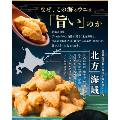 【特選】 塩水ウニ100g(エゾバフンウニ) 【6月中旬(予定)～9月発送不可】うに 雲丹