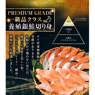 キングサイズの甘塩銀鮭 旨味抜群 半身 厚切10切 第三弾 ふるさと納税 鮭 F4F-8080