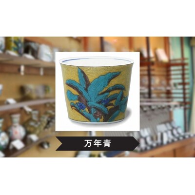【かわいい九谷焼】 フリーカップ (そば猪口) (絵柄:万年青)【打田平太郎商店】