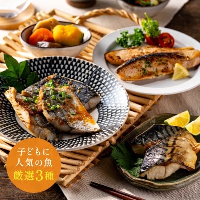 【冷凍】学校給食馴染みのお魚 切り身30切セット (サケ・さわら・サバ)