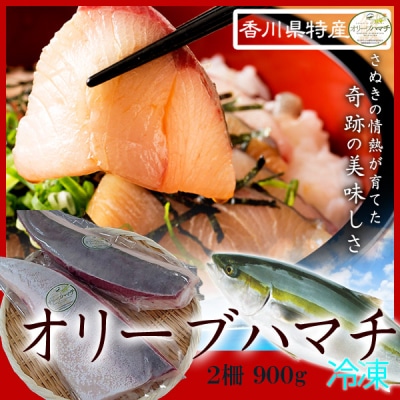 オリーブハマチ　冷凍　柵2本【A-105】【予約受付:令和8年11月頃よりご用意でき次第発送!】
