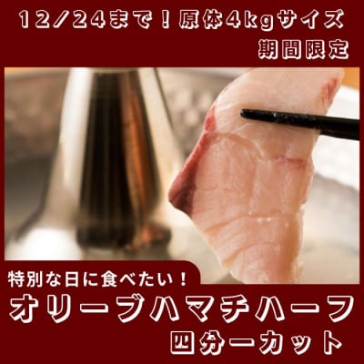期間限定受付　オリーブハマチ ハーフ(四分一カット)【B-632】