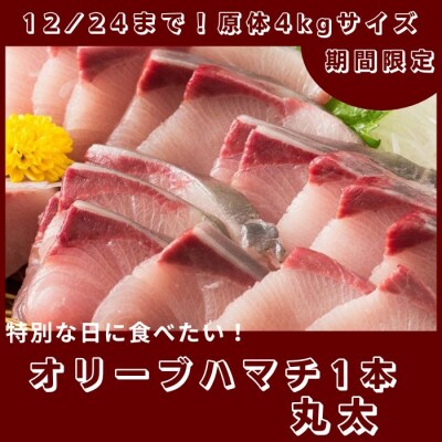 期間限定受付　オリーブハマチ1本まるごと(1本まるごと)【C-231】