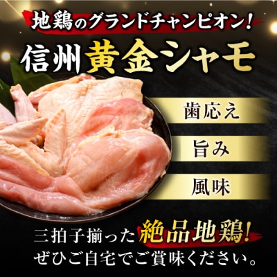【軍鶏】朝びき!信州黄金シャモ1羽まるごとセット(モモ肉、ムネ肉、手羽先、手羽元、ササミ)