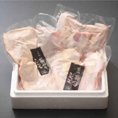 【軍鶏】朝びき!信州黄金シャモ1羽まるごとセット(モモ肉、ムネ肉、手羽先、手羽元、ササミ)