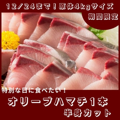 期間限定受付　オリーブハマチ1本まるごと(半身カット)【C-232】