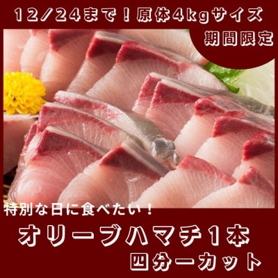 	期間限定受付　オリーブハマチ1本まるごと(四分一カット)【C-233】