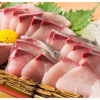 オリーブハマチ1本まるごと(半身カット)【先行受付:令和8年10月中旬頃から出荷】【C-312】
