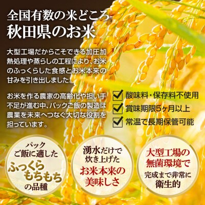 【定期便2回 2ヶ月に1回お届け】パックごはん 180g×48個|23_aks-014802b