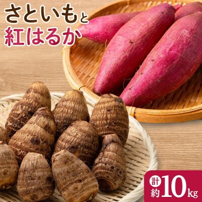 <先行予約受付中!10月上旬～2月下旬発送予定>さといもと紅はるかのセット(約10kg)