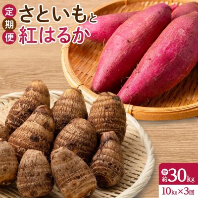 <定期便・全3回><先行予約受付中!10月上旬～2月下旬発送予定>さといもと紅はるかのセット