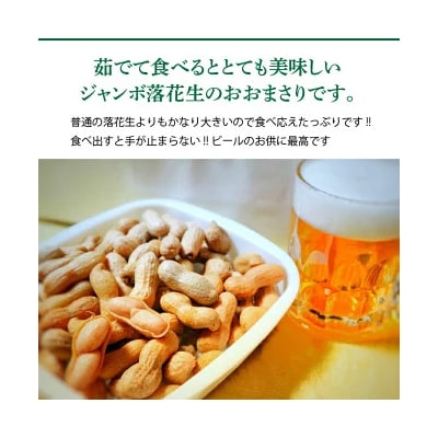 生落花生 おおまさり 2kg とれたて 耕地の美味しい野菜シリーズ第1弾 H132-028