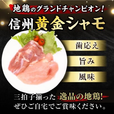 【3回定期便 】信州黄金シャモお試しセット(モモ肉、ムネ肉)約700g