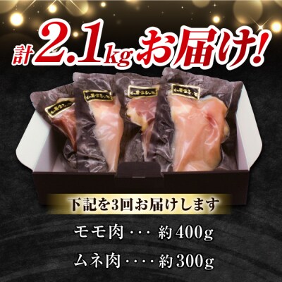 【3回定期便 】信州黄金シャモお試しセット(モモ肉、ムネ肉)約700g
