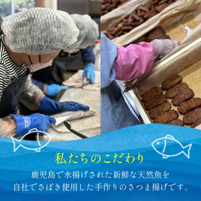 【鹿児島県産】坊のつけあげ(さつま揚げ)3種 計36個 上棒天 野菜天 すり身 練り物 南さつま市