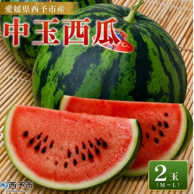 スイカ <愛媛県西予市産 中玉西瓜 2玉> 果物 えひめ えひめ 愛媛